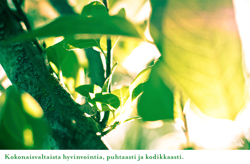 Hyvähoito Kehäkukka