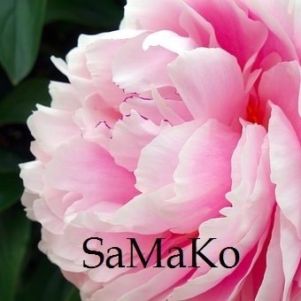 SaMaKo Ky  