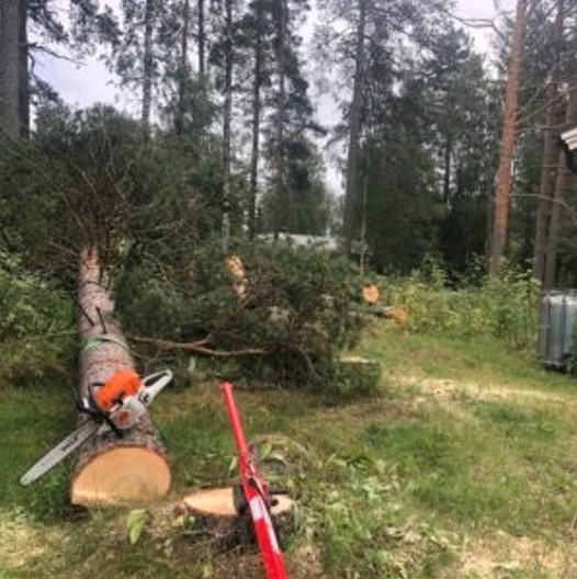 https://tarjoomo.fi/wp-content/uploads/2022/01/placeholder_tarjoomo.jpg