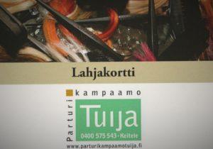 Hiusten leikkaus toimipisteessä tai kotikäynteinä