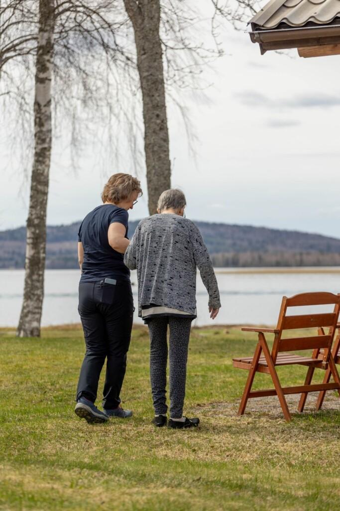Virikekäynnit